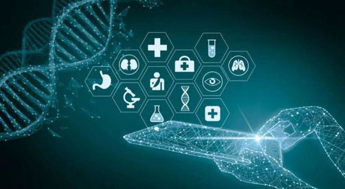 2022年醫藥行業 一曲冰與火之歌